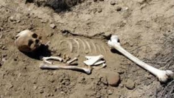 عظام بشرية بالدريوش: اكتشاف صادم بوادي تلامغيت يسائل واقع التهميش