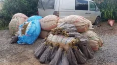 تهريب المخدرات باشتوكة آيت باها: تفاصيل عملية أمنية ناجحة