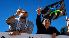 الزفزافي، شارية، سيليا وفاوست: حين تبتلع السياسة رموزها