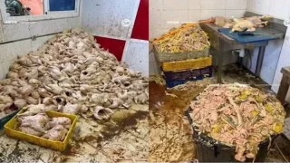 دجاج فاسد في طنجة: تفاصيل عملية نوعية بخندق الدير